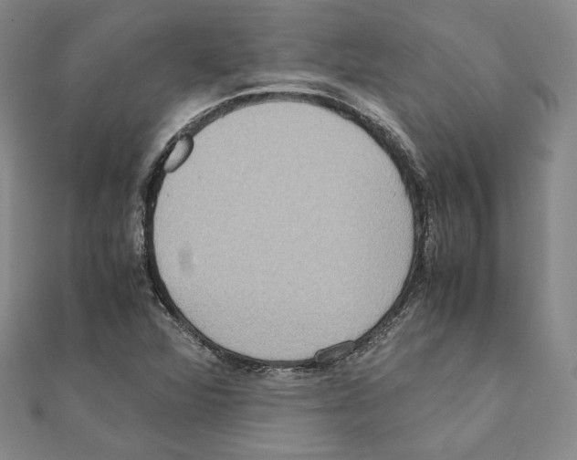 X0000111191360200908121038