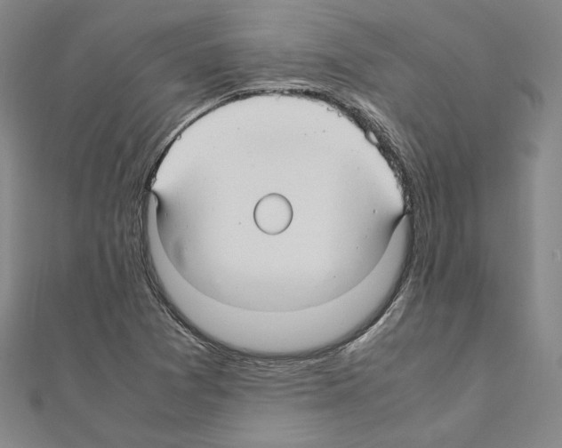 X0000111191361200908121038
