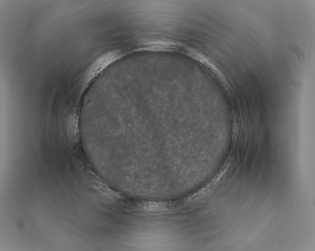 X0000111191362200908121038