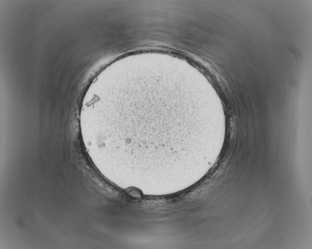 X0000111191363200908121038
