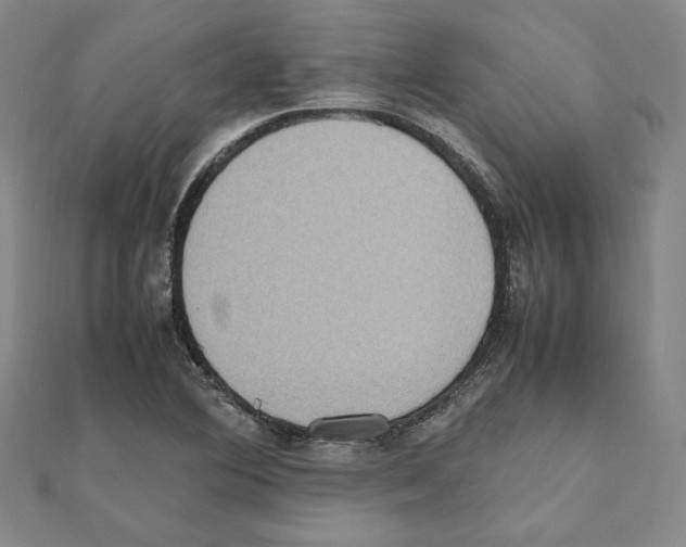 X0000111191364200908121038
