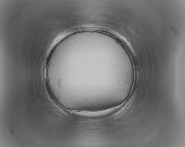 X0000111191365200908121038