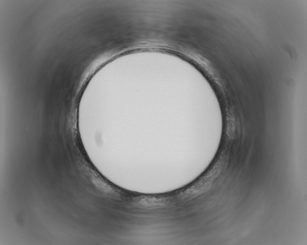 X0000111191366200908121038
