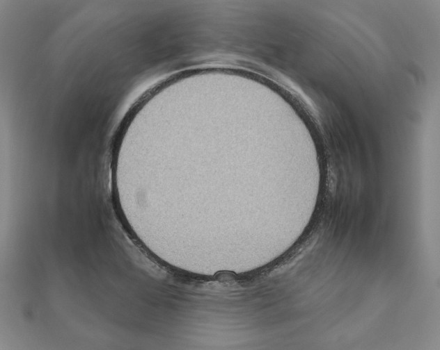 X0000111191368200908121038