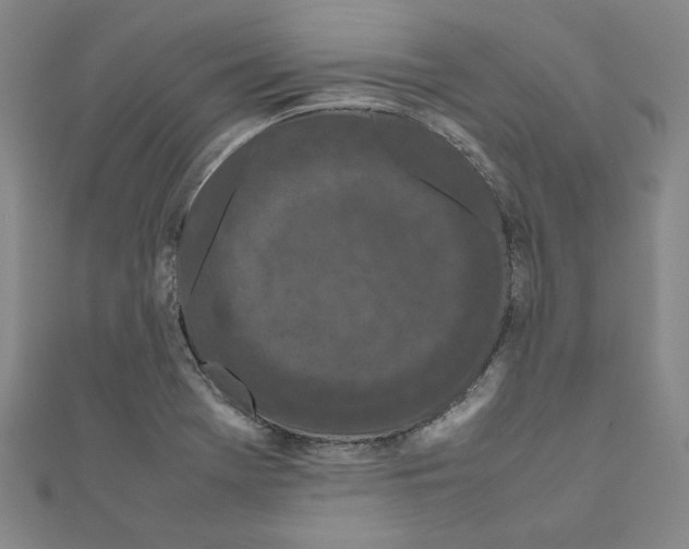 X0000111191369200908121038