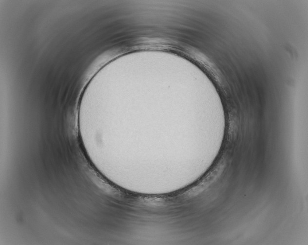 X0000111191370200908121038