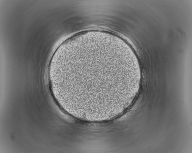 X0000111191371200908121038
