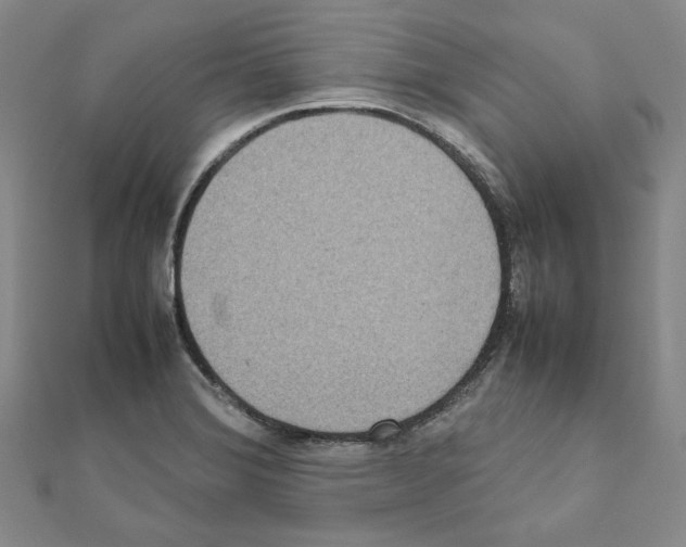X0000111191372200908121038
