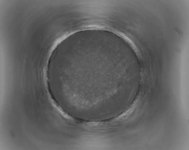 X0000111191373200908121038