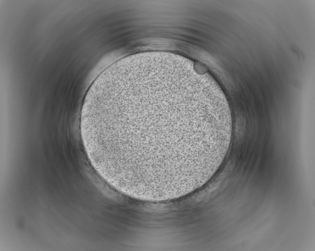 X0000111191378200908121038