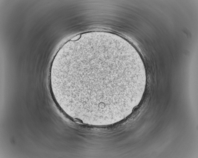 X0000111191379200908121038