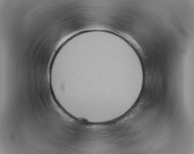 X0000111191380200908121038