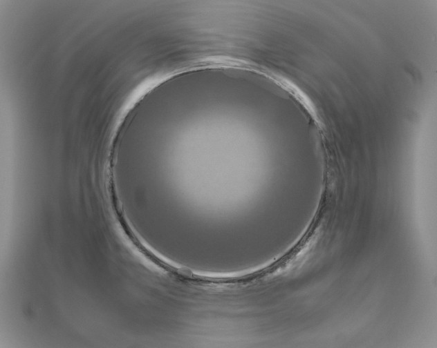 X0000111191381200908121038