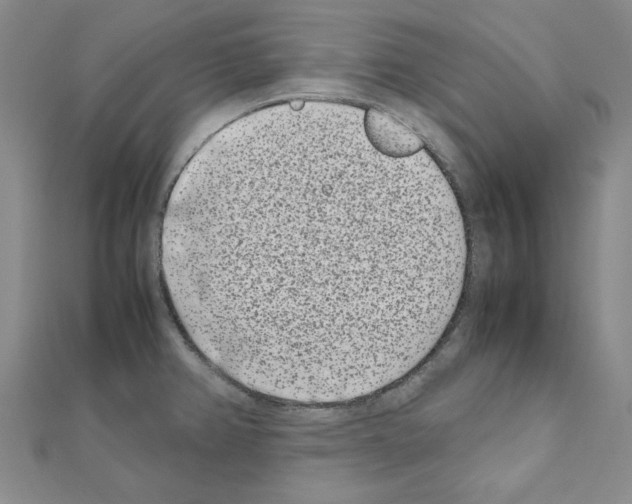 X0000111191382200908121038