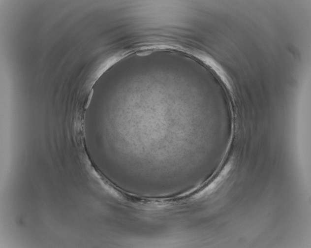 X0000111191385200908121038