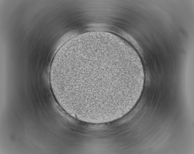 X0000111191386200908121038