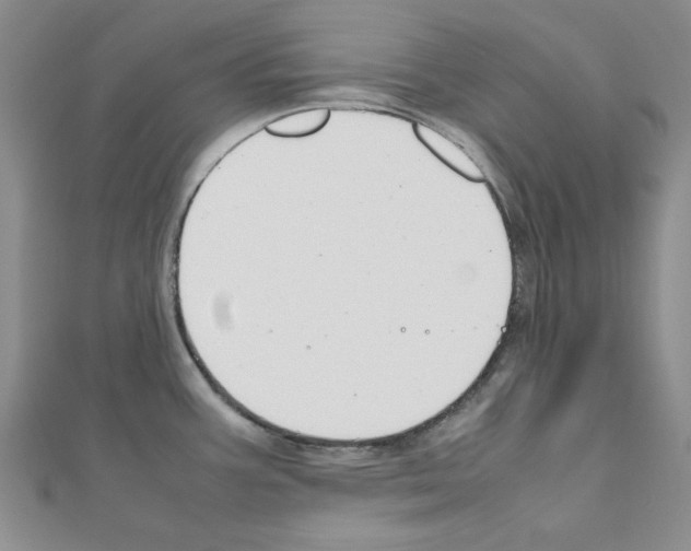 X0000111191387200908121038