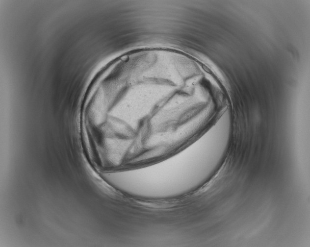X0000111191388200908121038