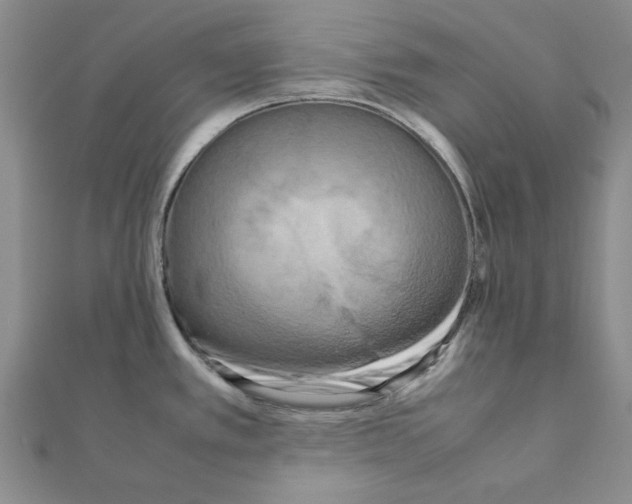 X0000111191389200908121038