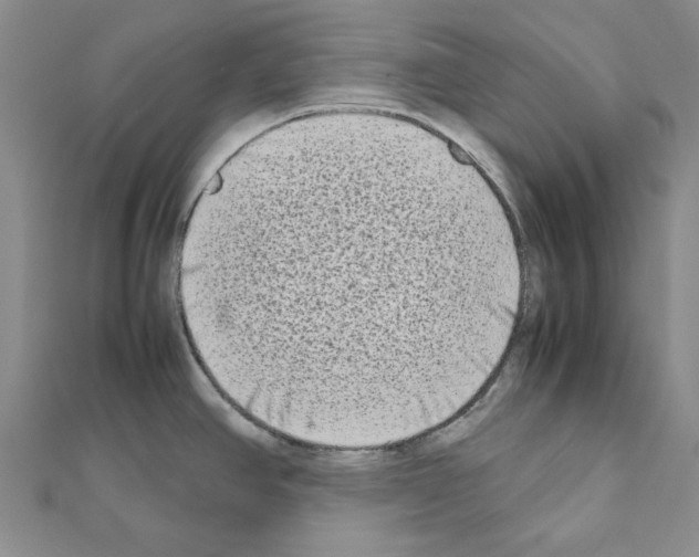X0000111191390200908121038
