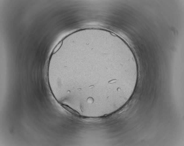 X0000111191392200908121038