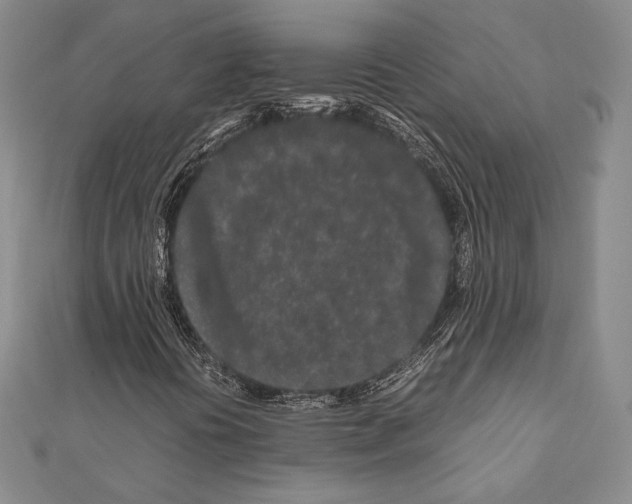 X0000111191394200908121037