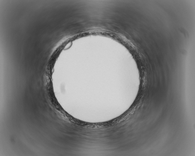 X0000111191400200908121037
