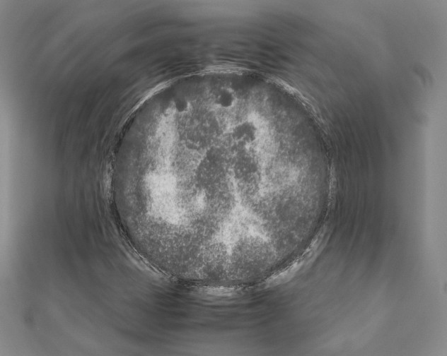 X0000111191401200908121037