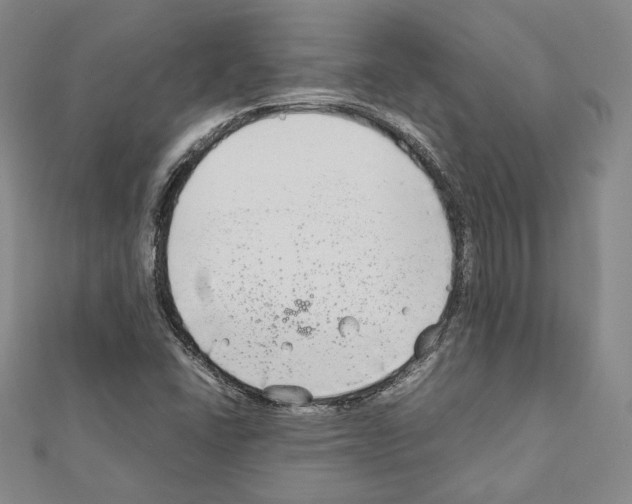 X0000111191406200908121037