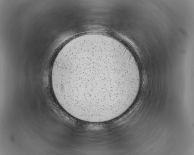 X0000111191407200908121037