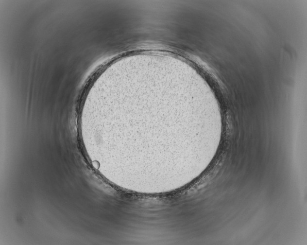 X0000111191408200908121037