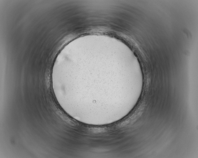 X0000111191409200908121037