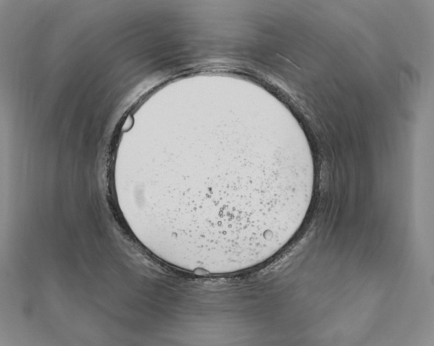 X0000111191410200908121037