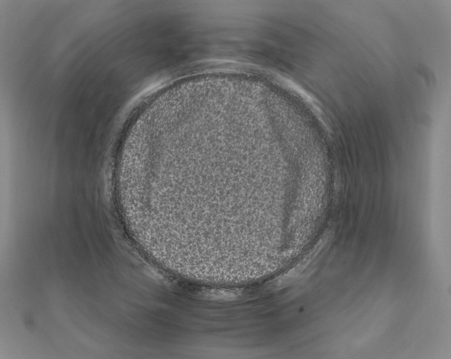 X0000111191411200908121037