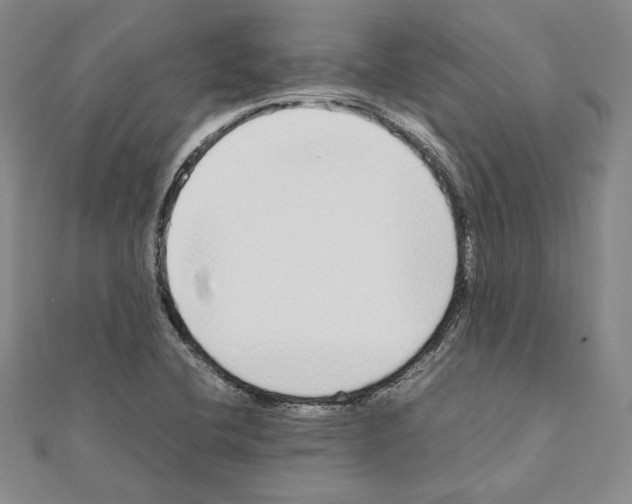 X0000111191412200908121037