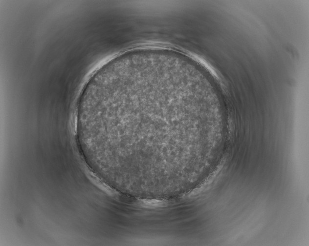 X0000111191413200908121037