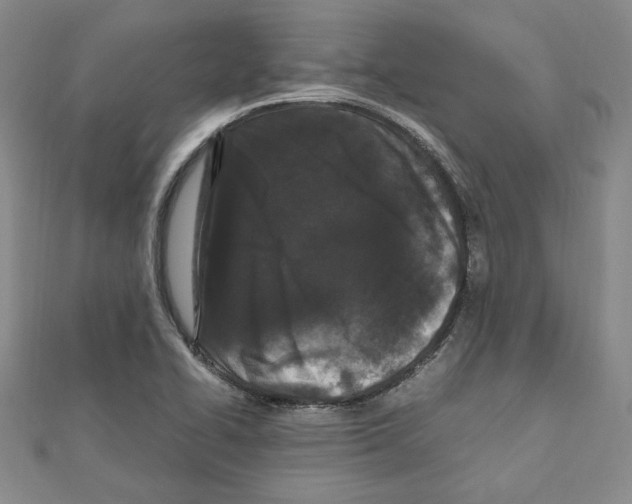 X0000111191414200908121037