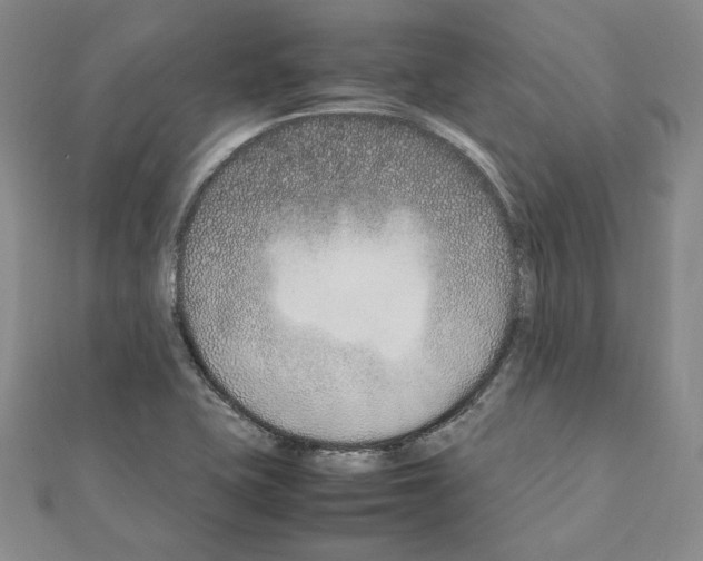 X0000111191415200908121037