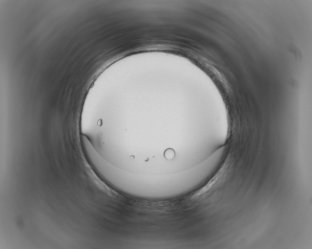 X0000111191417200908121037
