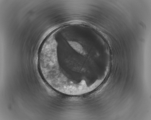 X0000111191418200908121037