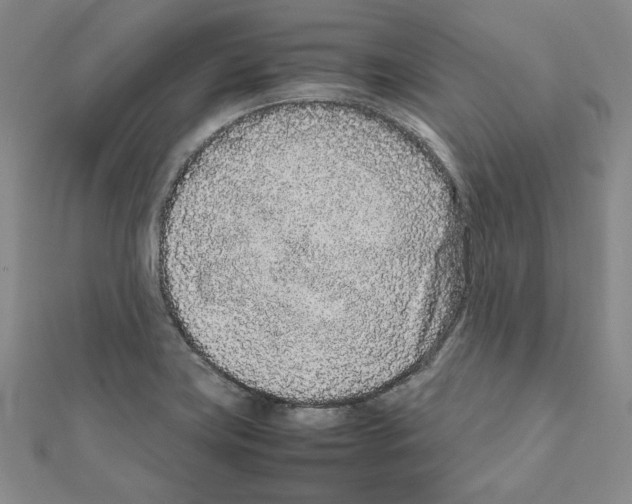 X0000111191419200908121037