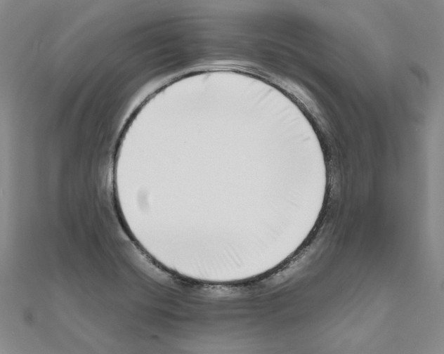 X0000111191420200908121037