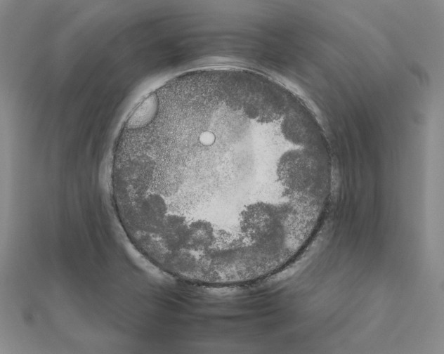 X0000111191421200908121037