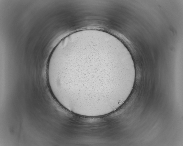 X0000111191423200908121037