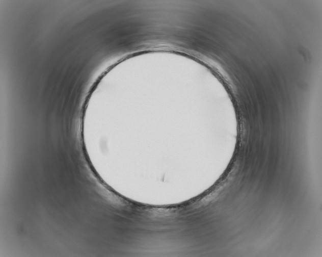 X0000111191424200908121037