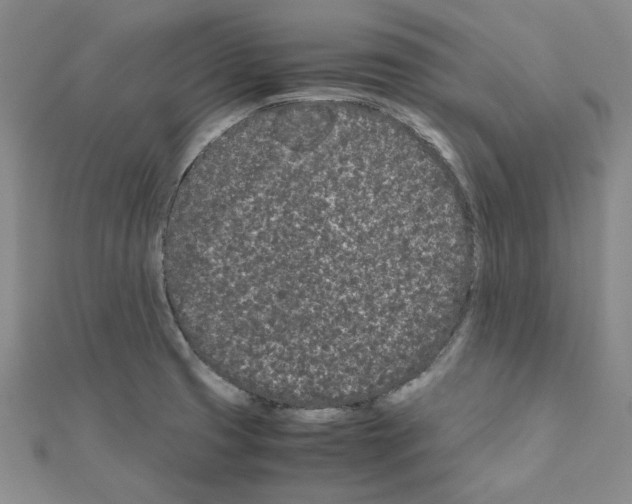 X0000111191425200908121037