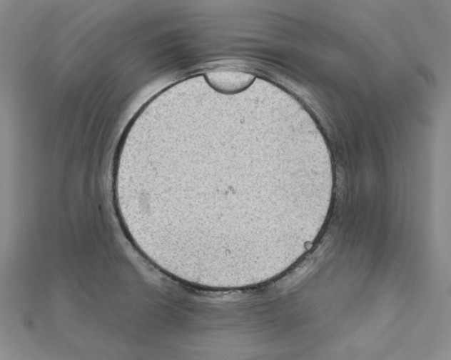 X0000111191426200908121037