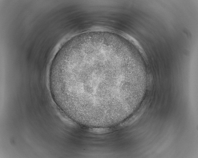 X0000111191427200908121037