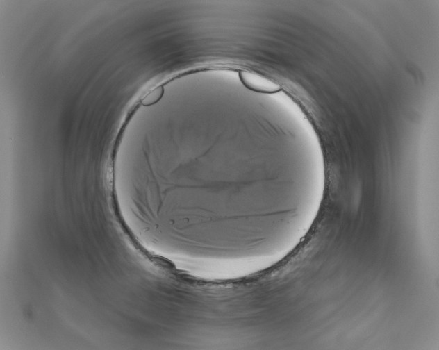 X0000111191428200908121038