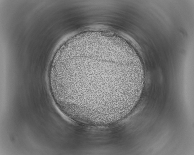 X0000111191429200908121038